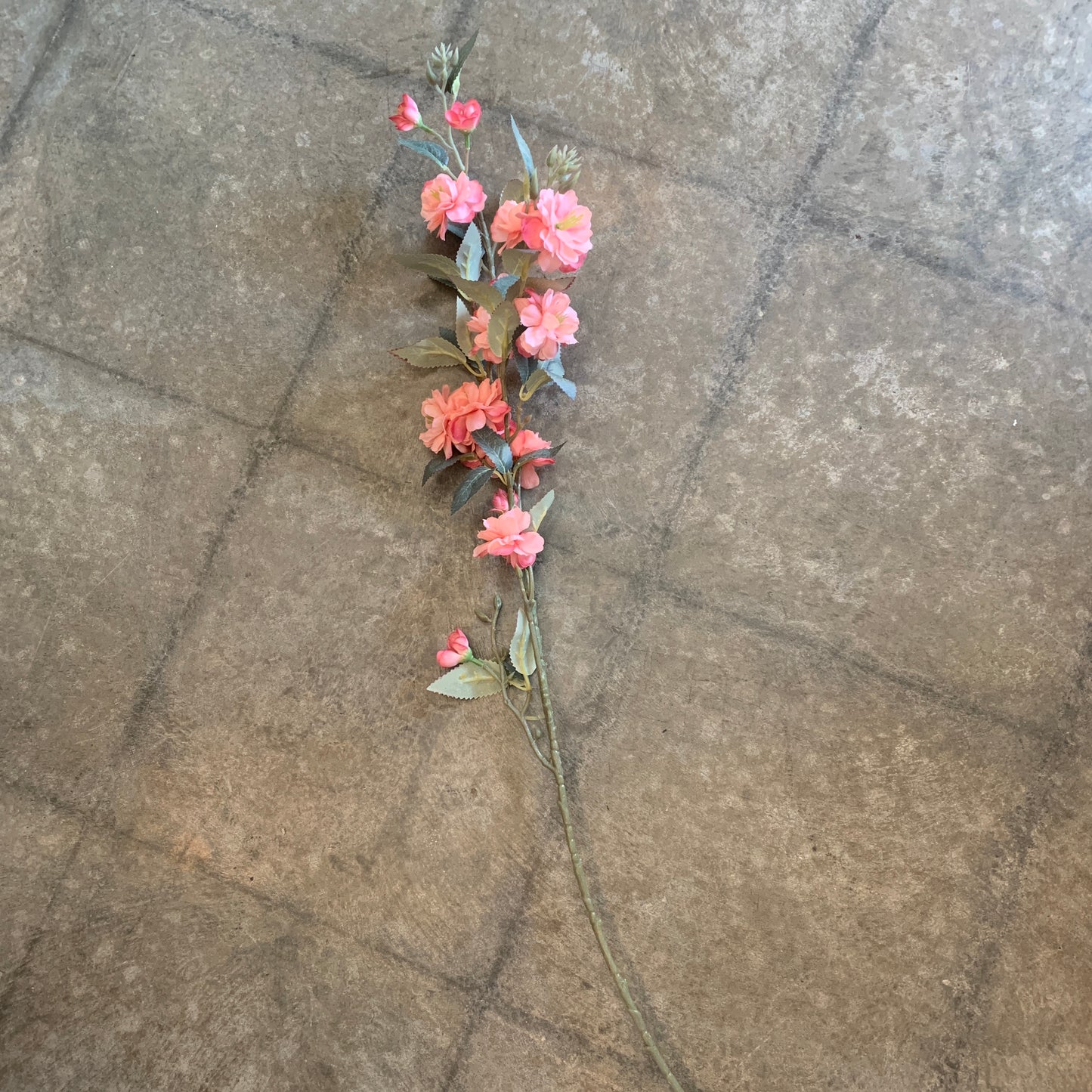 Pink Apple Blossom Stem