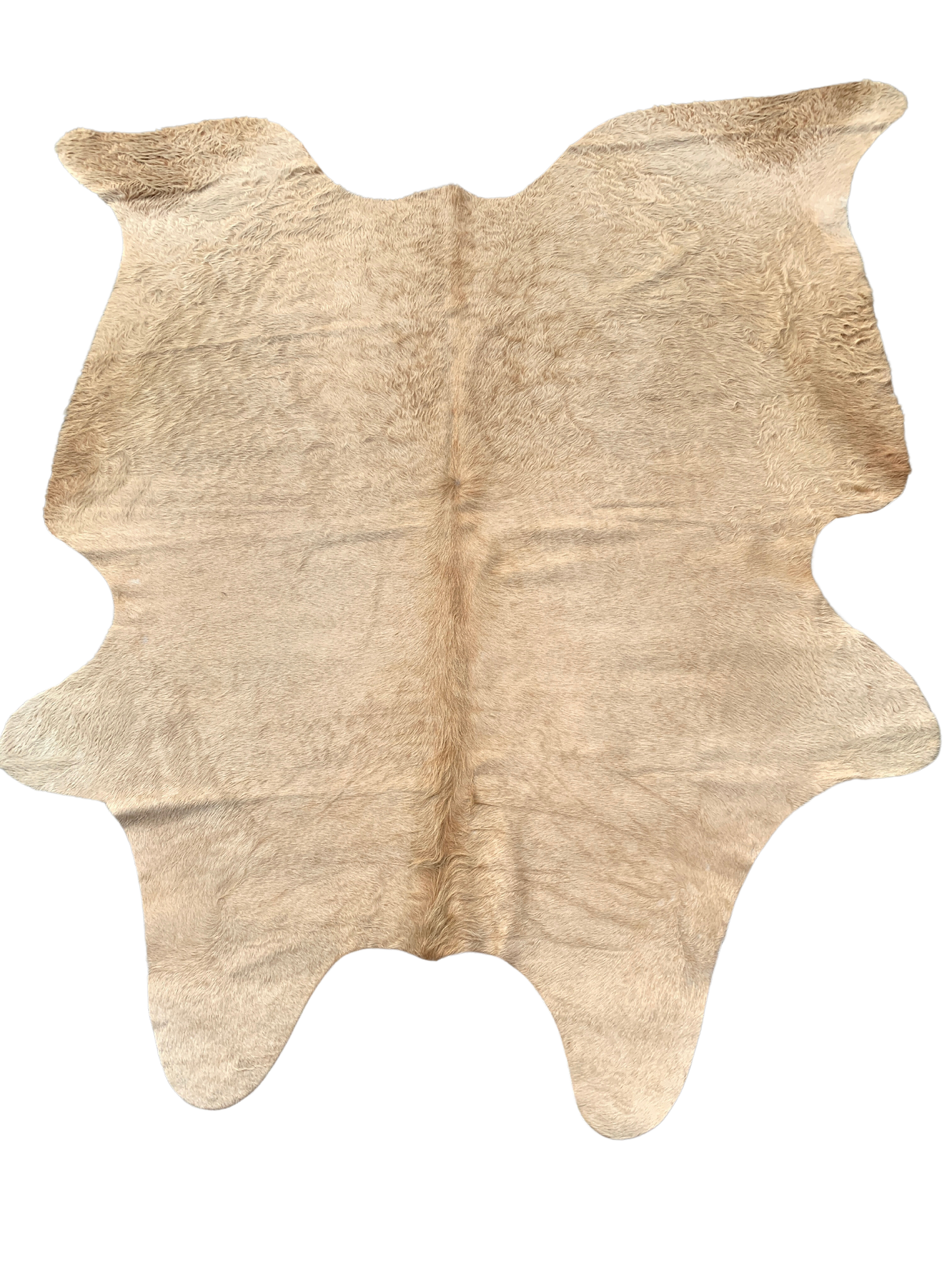 Palomino Brazilian Cowhide