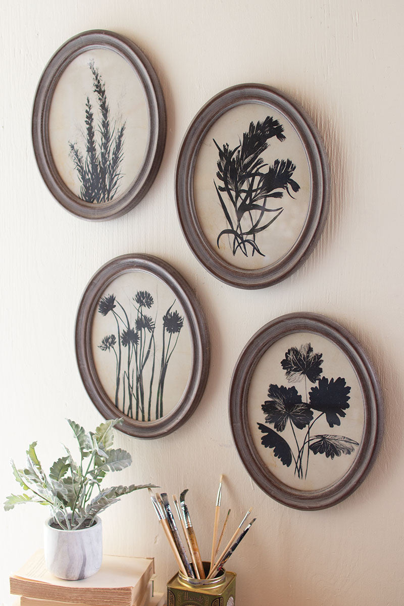 Framed Oval Botanical - Set Of 4