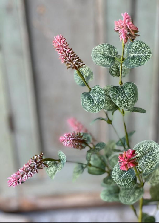 Yarrow Bud Stem - Pink