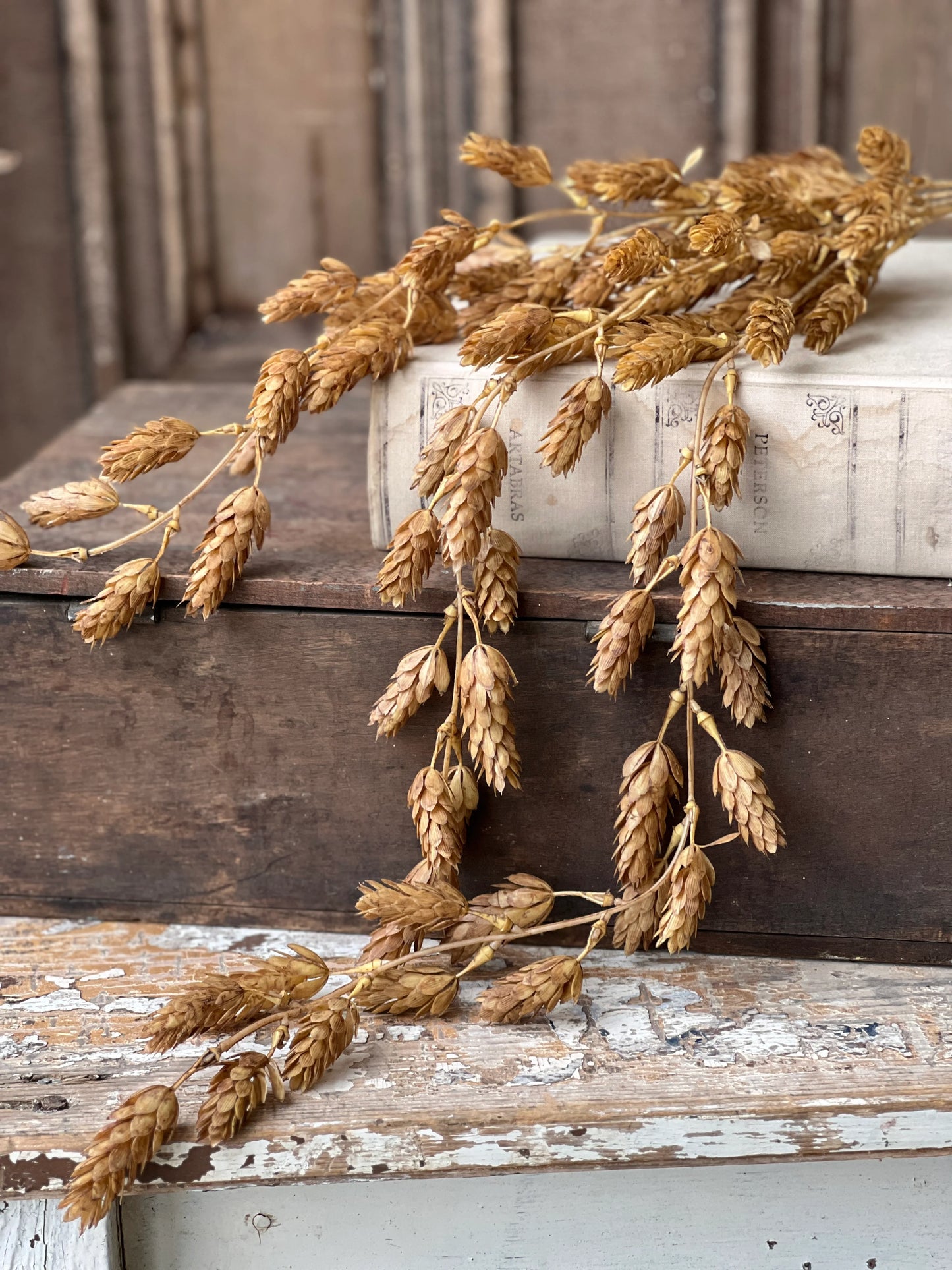 Beige Hanging Hops Fall Floral