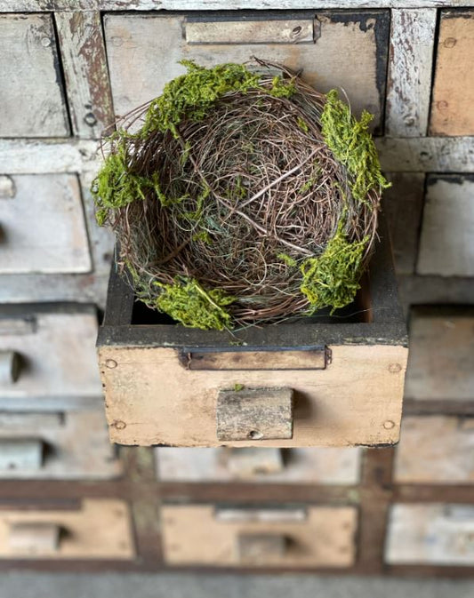 Moss Twined Birdnest 4.5"