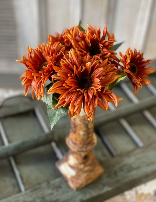 Spider Mum Rust