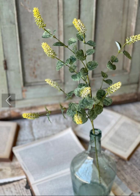 Yarrow Bud Stem - Yellow