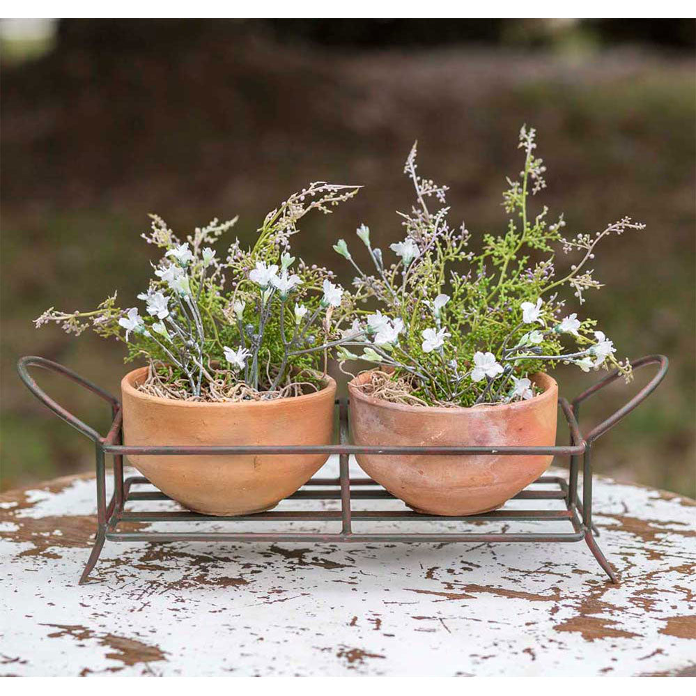 Iron Caddy Planter